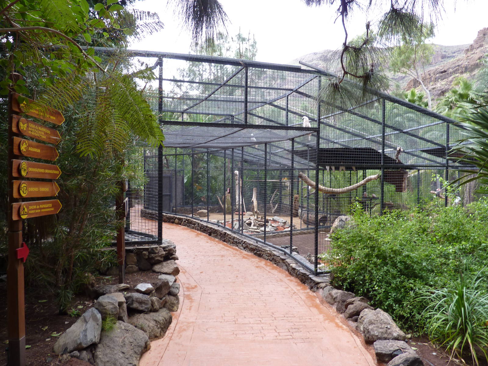 Walk-under cockatoo aviary