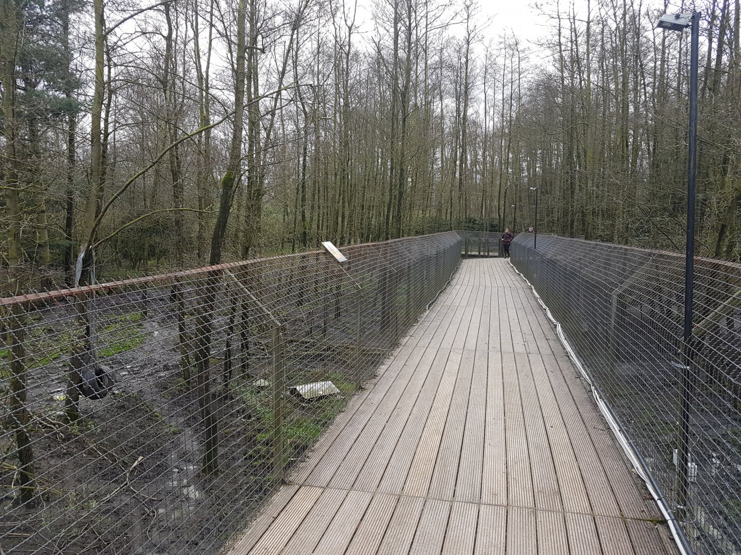 Walk-way along Brown bear and Wolf enclosures