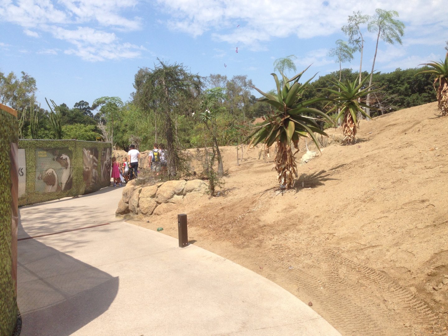 Walk Way To Kopje 1st Turn