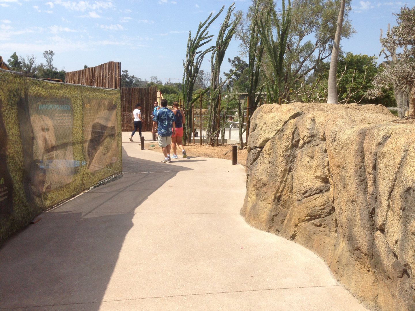 Walk Way To Kopje 2nd Turn