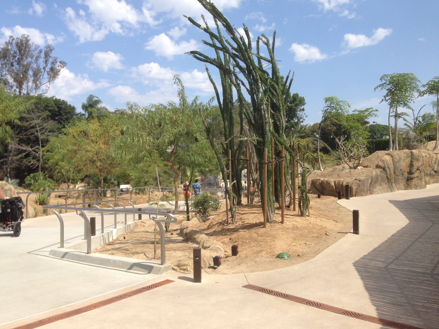 Walk Way To Kopje 3rd Turn