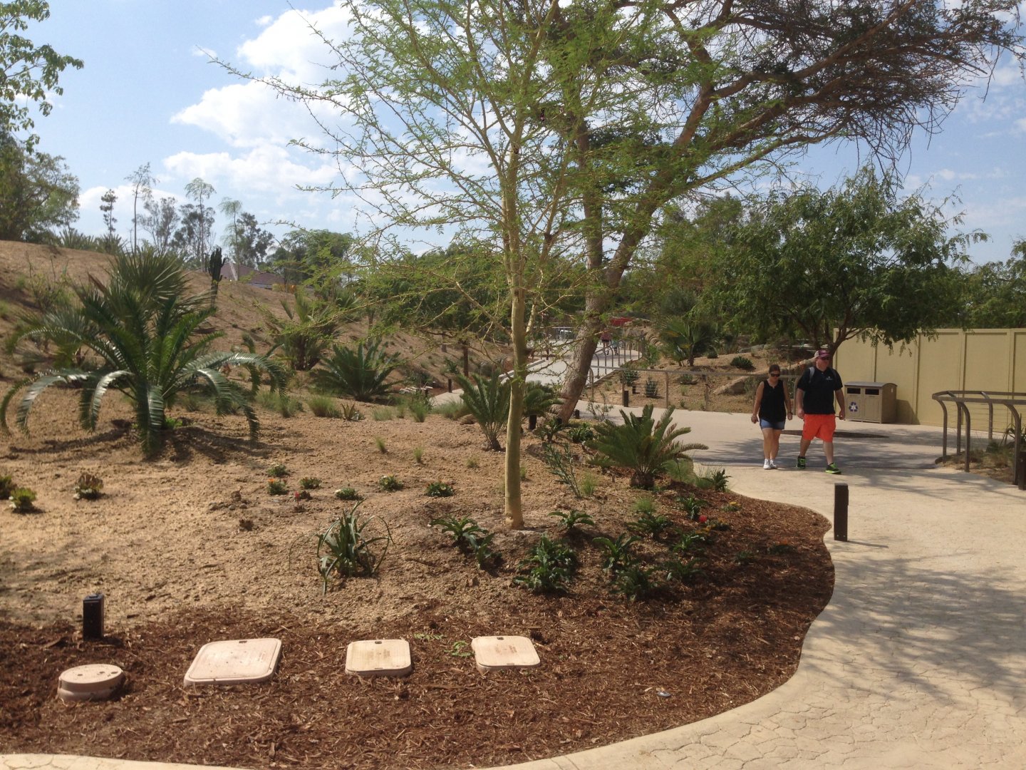 Walk Way To Kopje Up Toward 4th Turn