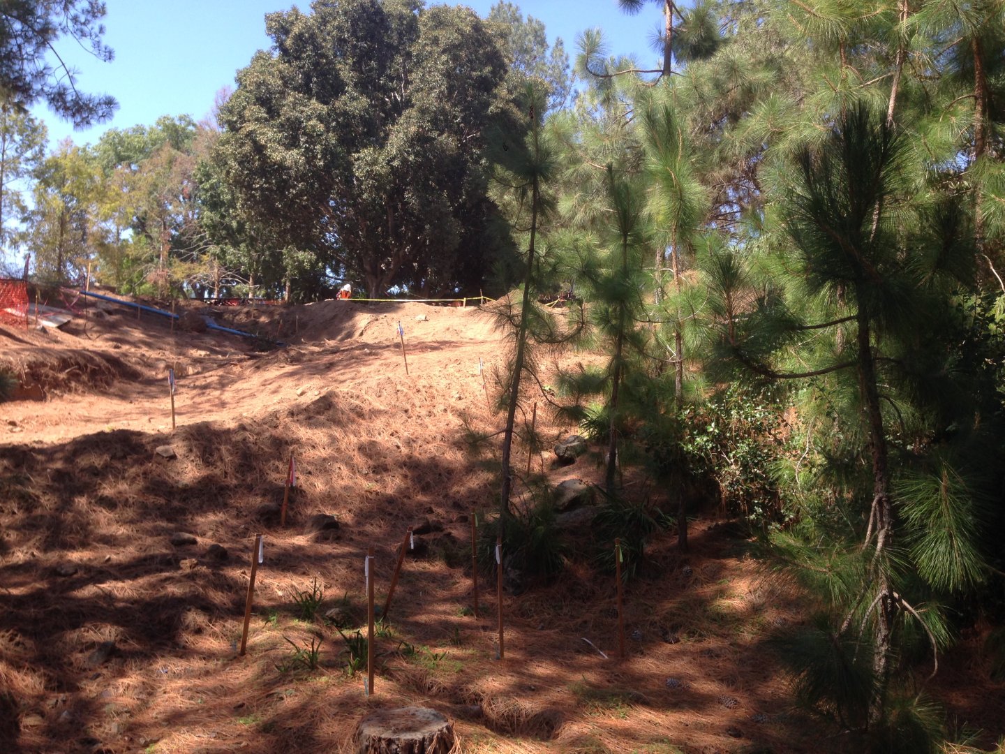 Walkabout Austarlia Adjacent to Bald Eagles