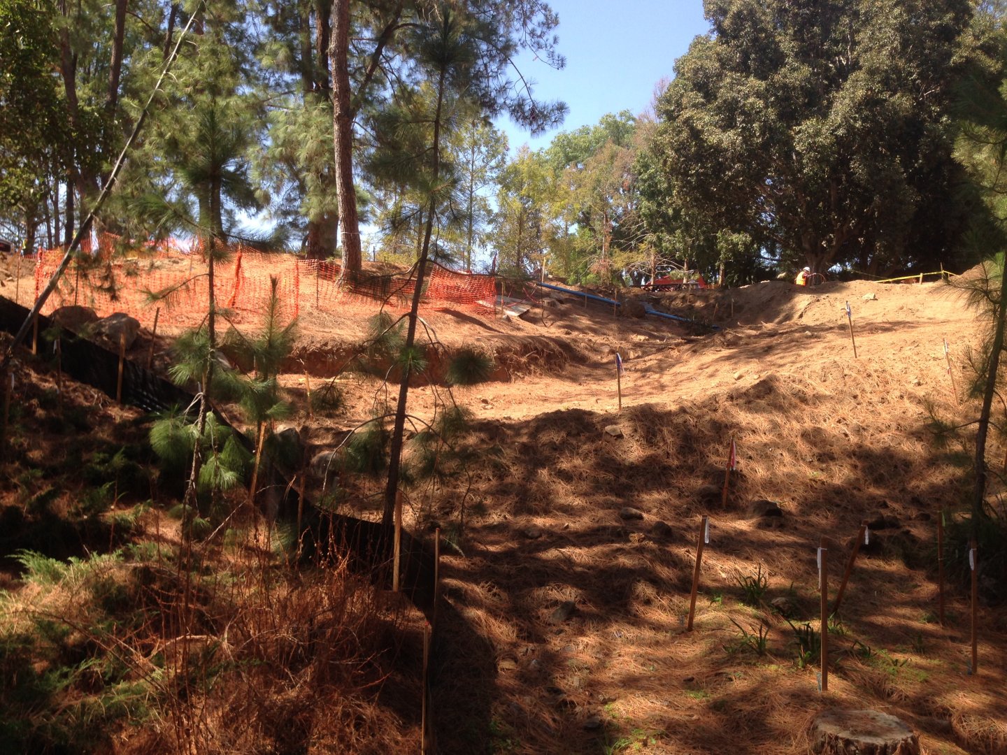 Walkabout Austarlia Adjacent to Parrot