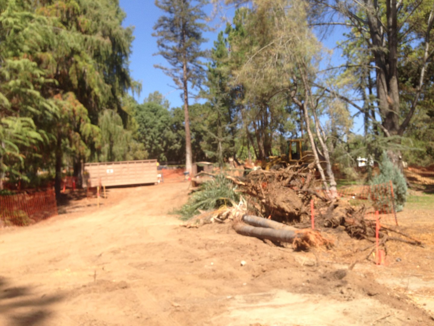 Walkabout Austarlia Near Artificial Tree Exhibit Angle 1