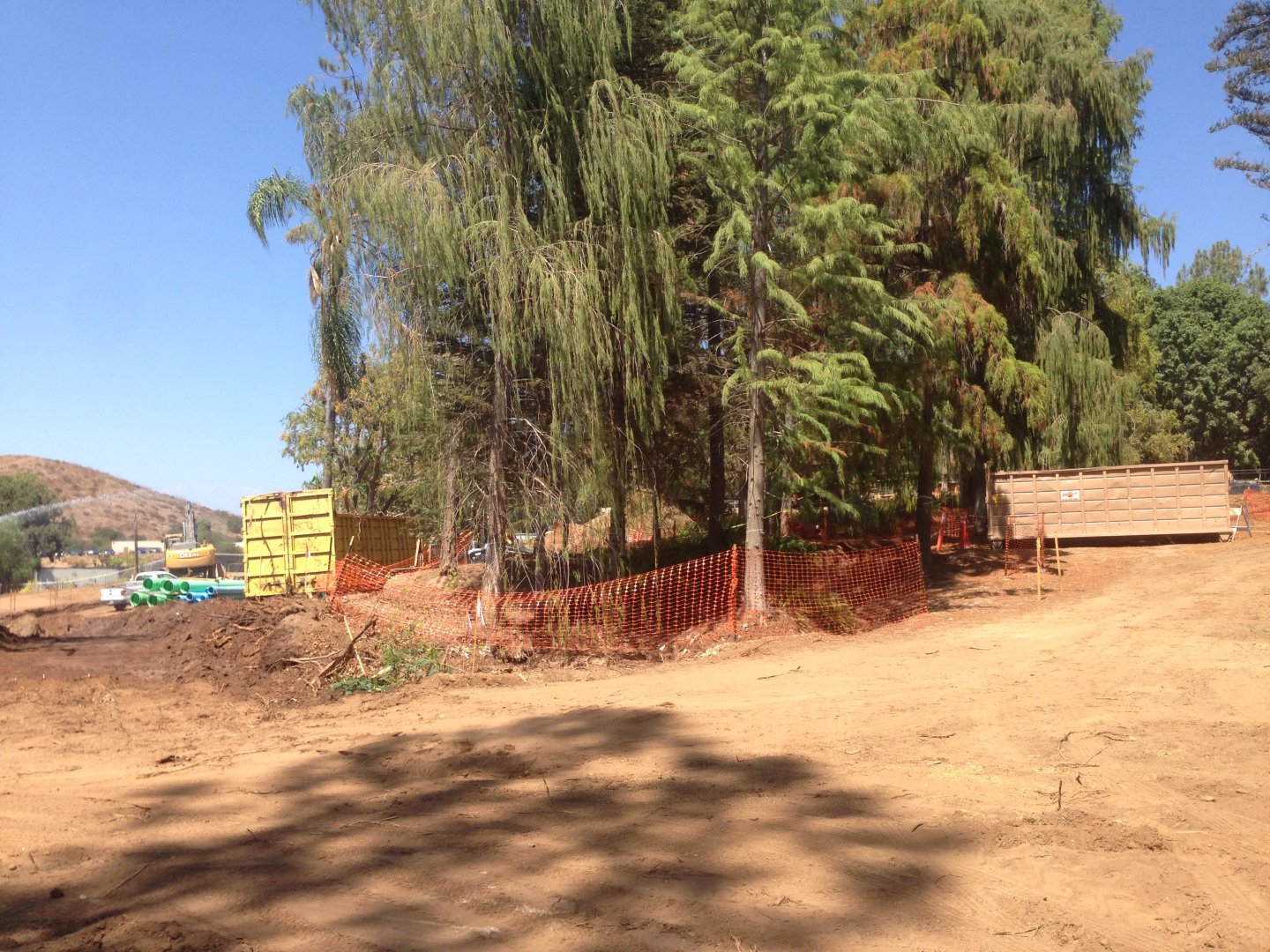 Walkabout Austarlia Near Artificial Tree Exhibit Angle 2