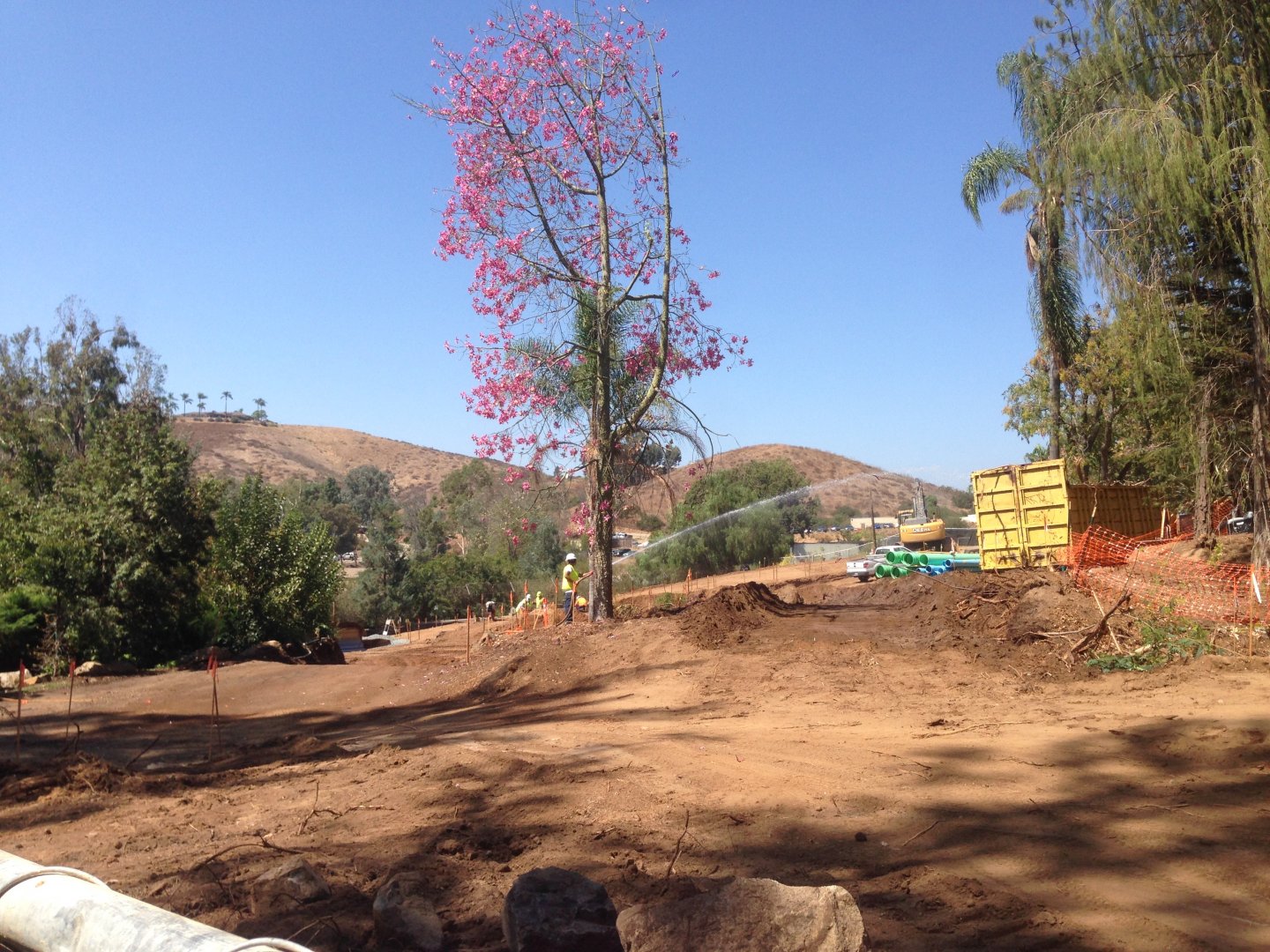 Walkabout Austarlia Near Artificial Tree Exhibit Angle 3