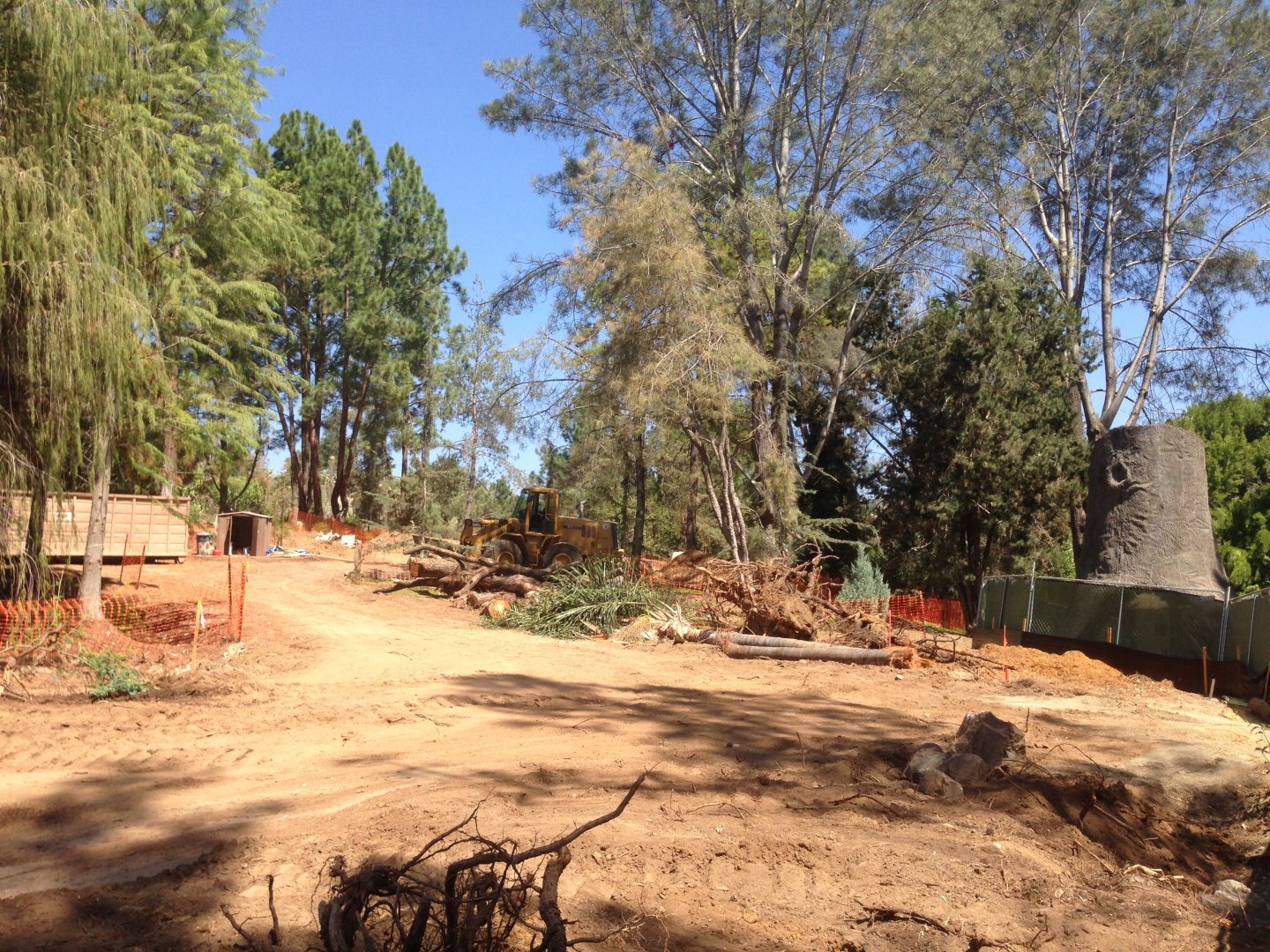 Walkabout Austarlia Near Artificial Tree Exhibit Angle 4