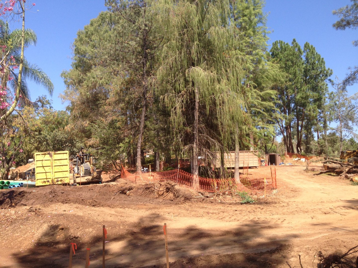 Walkabout Austarlia Near Artificial Tree Exhibit Angle 5