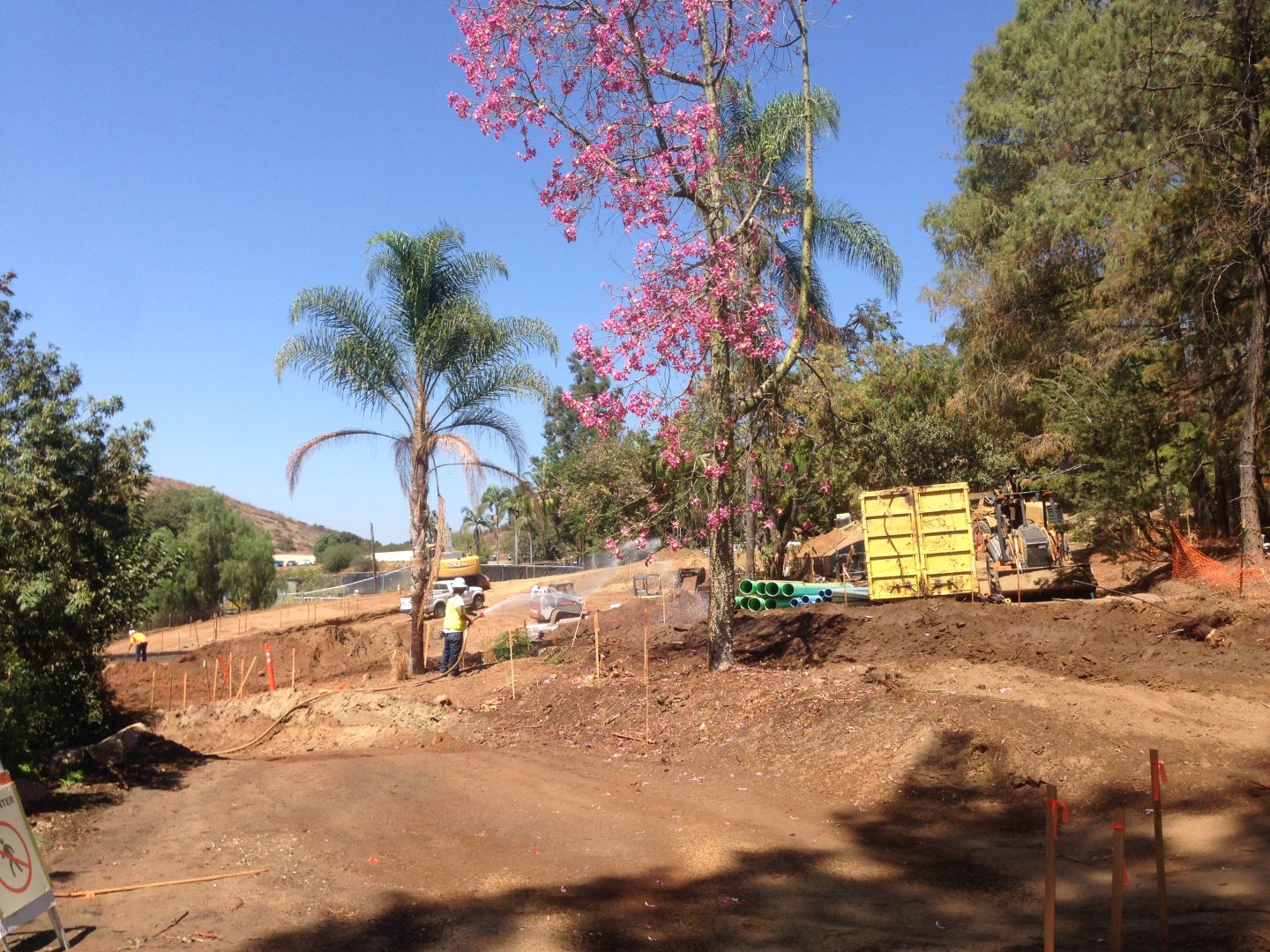 Walkabout Austarlia Near Artificial Tree Exhibit Angle 6