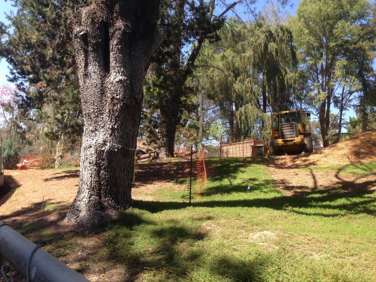 Walkabout Austarlia Near Snack Bar Angle 3