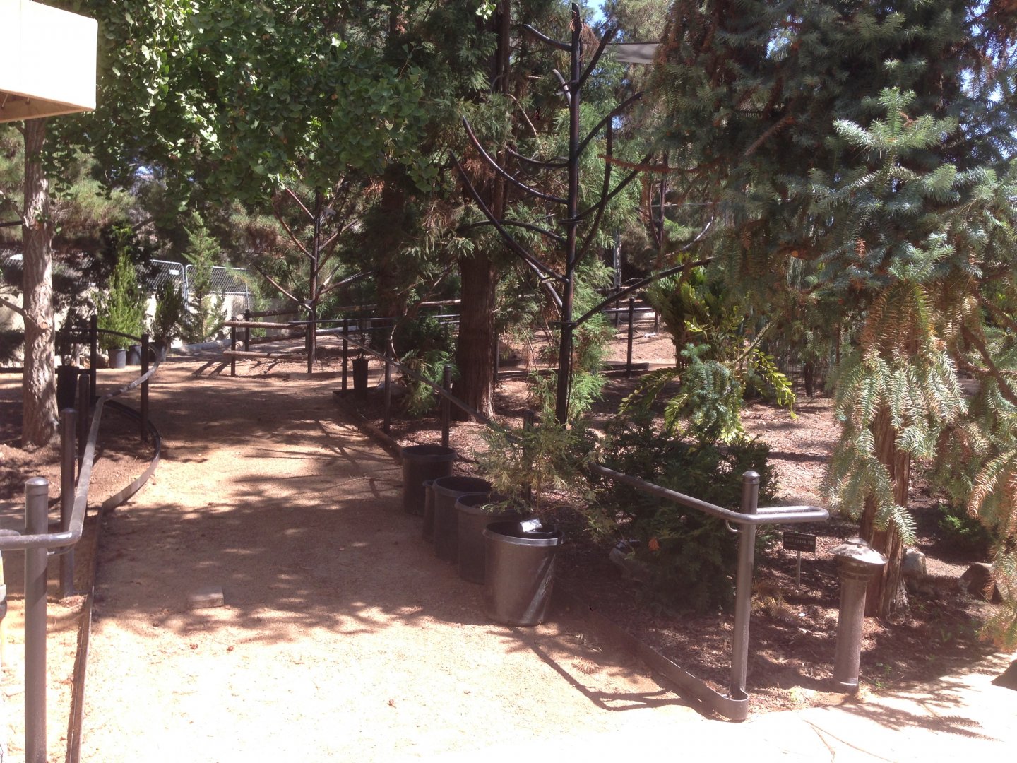 Walkabout Austarlia New Path Across From Snack Bar - Epiphyte Exhibit 1