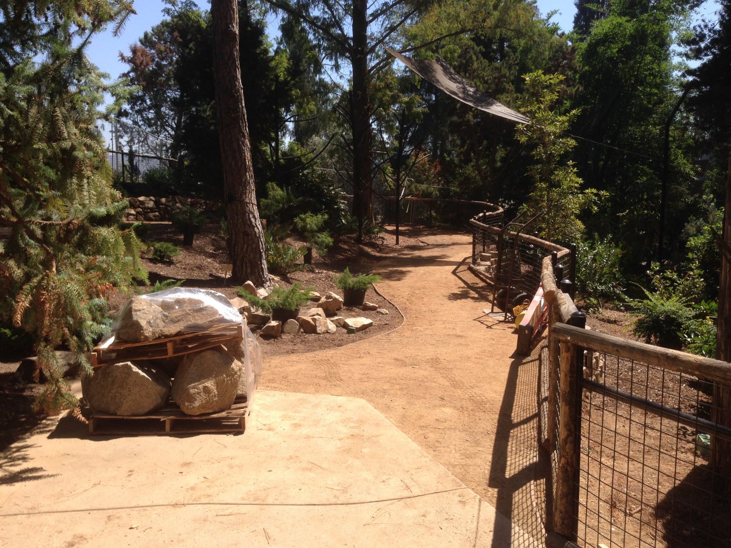 Walkabout Austarlia New Path Across From Snack Bar - Epiphyte Exhibit 2