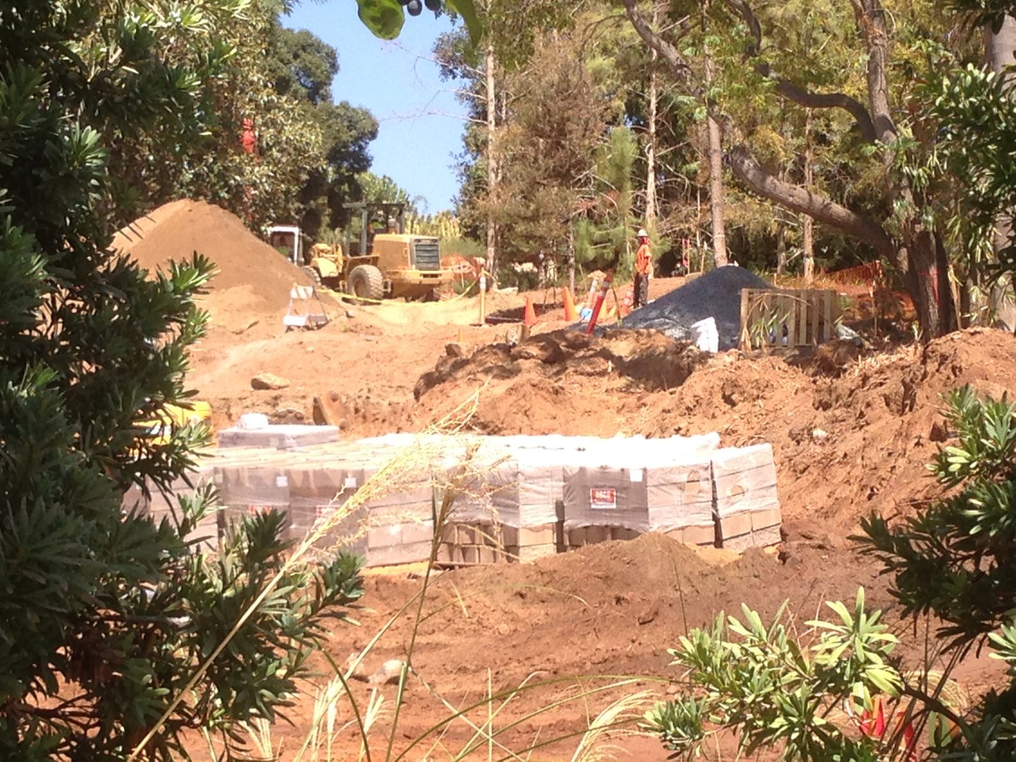 Walkabout Austarlia Tiger Trail Access Path Angle 1