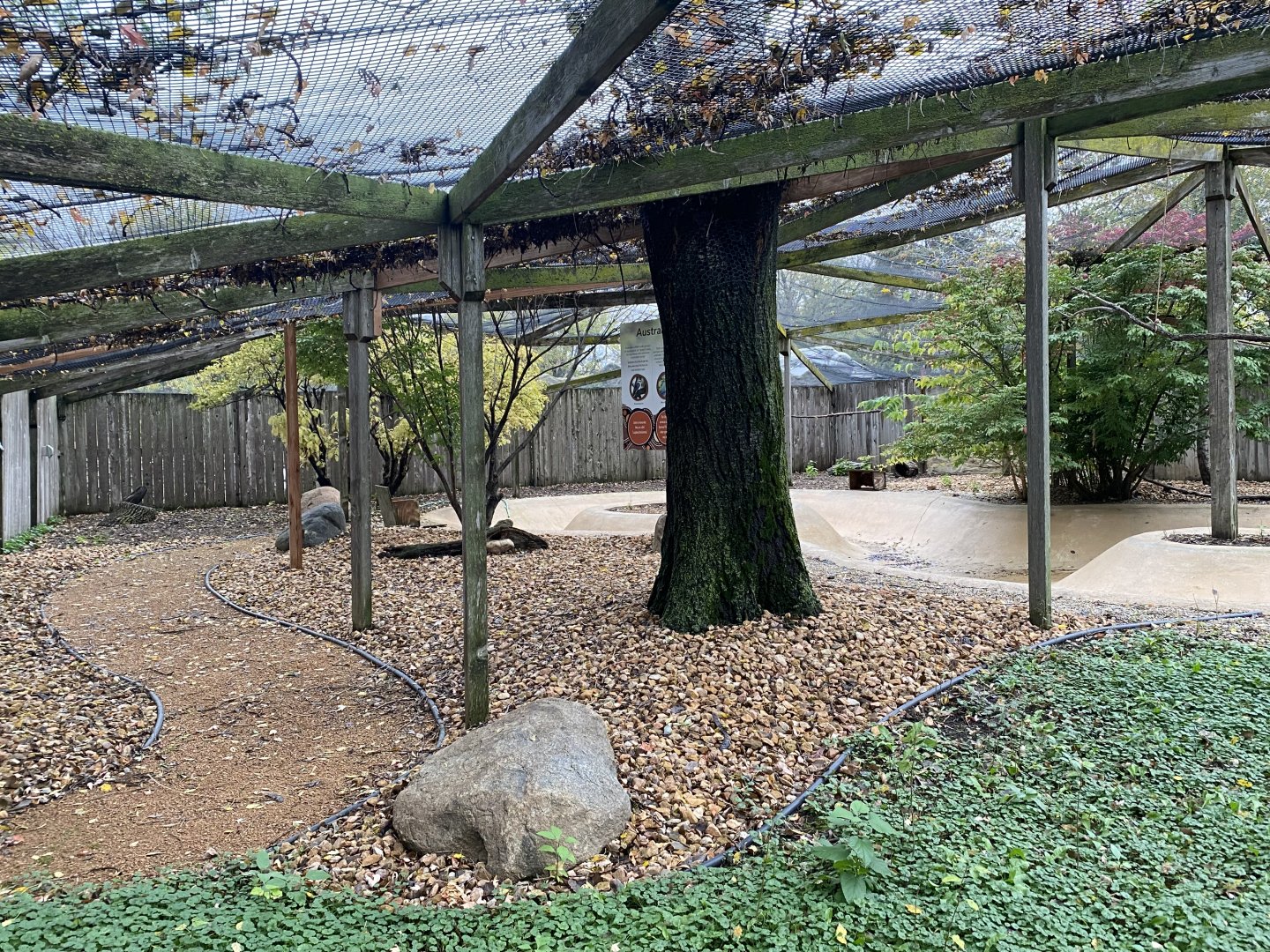 Walkabout Australia - Australian Aviary