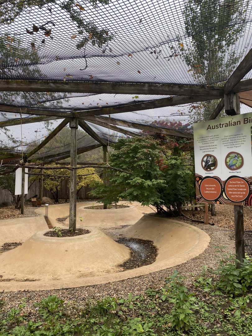 Walkabout Australia - Australian Aviary