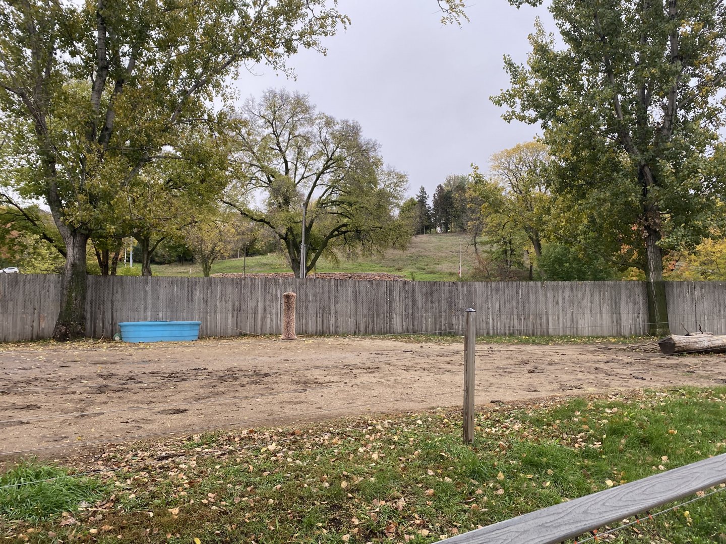 Walkabout Australia- Bactrian Camel Exhibit