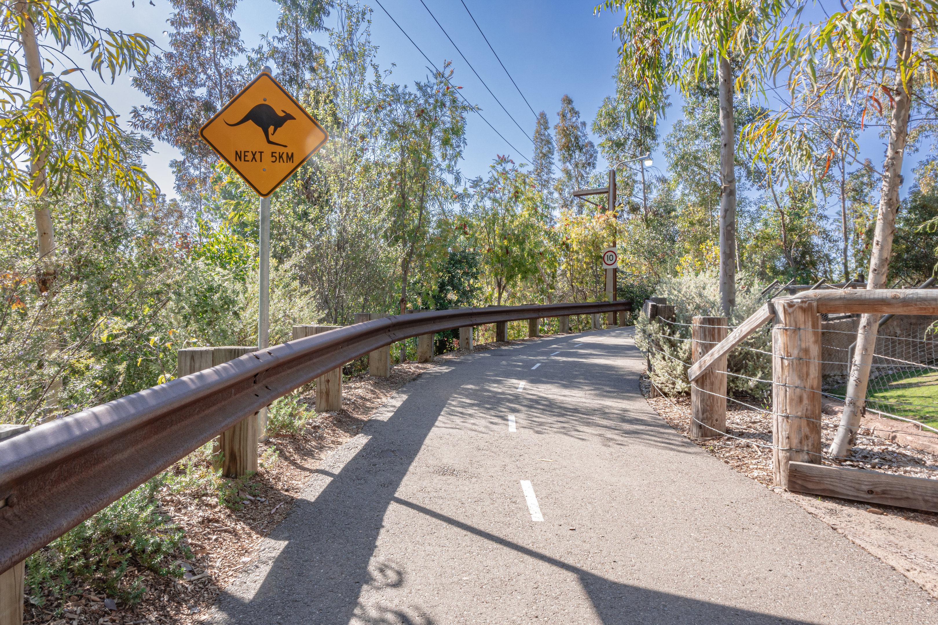 Walkabout Australia: Kangaroo Crossing