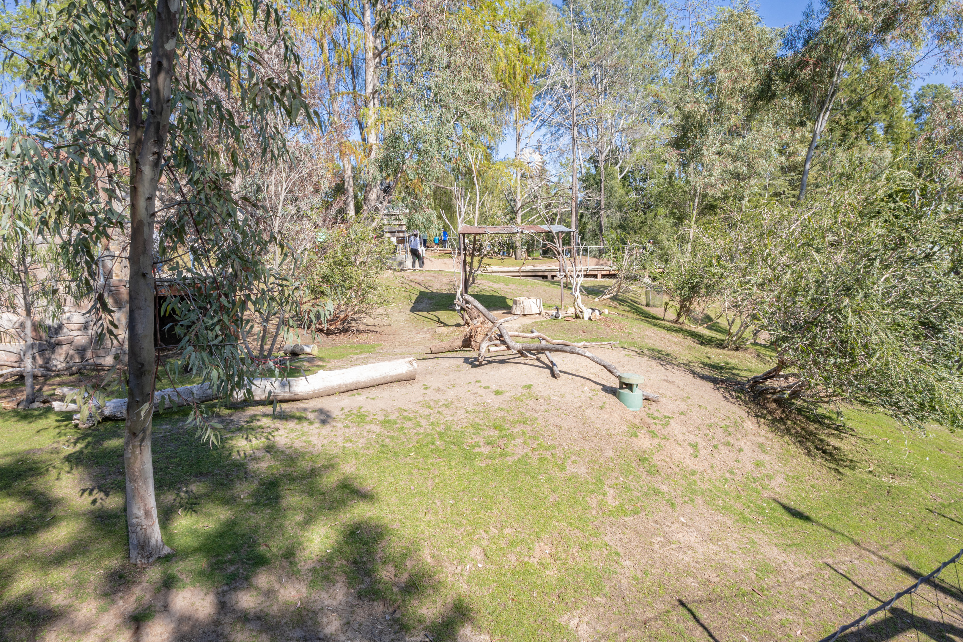 Walkabout Australia: Marsupial Walkway second viewing