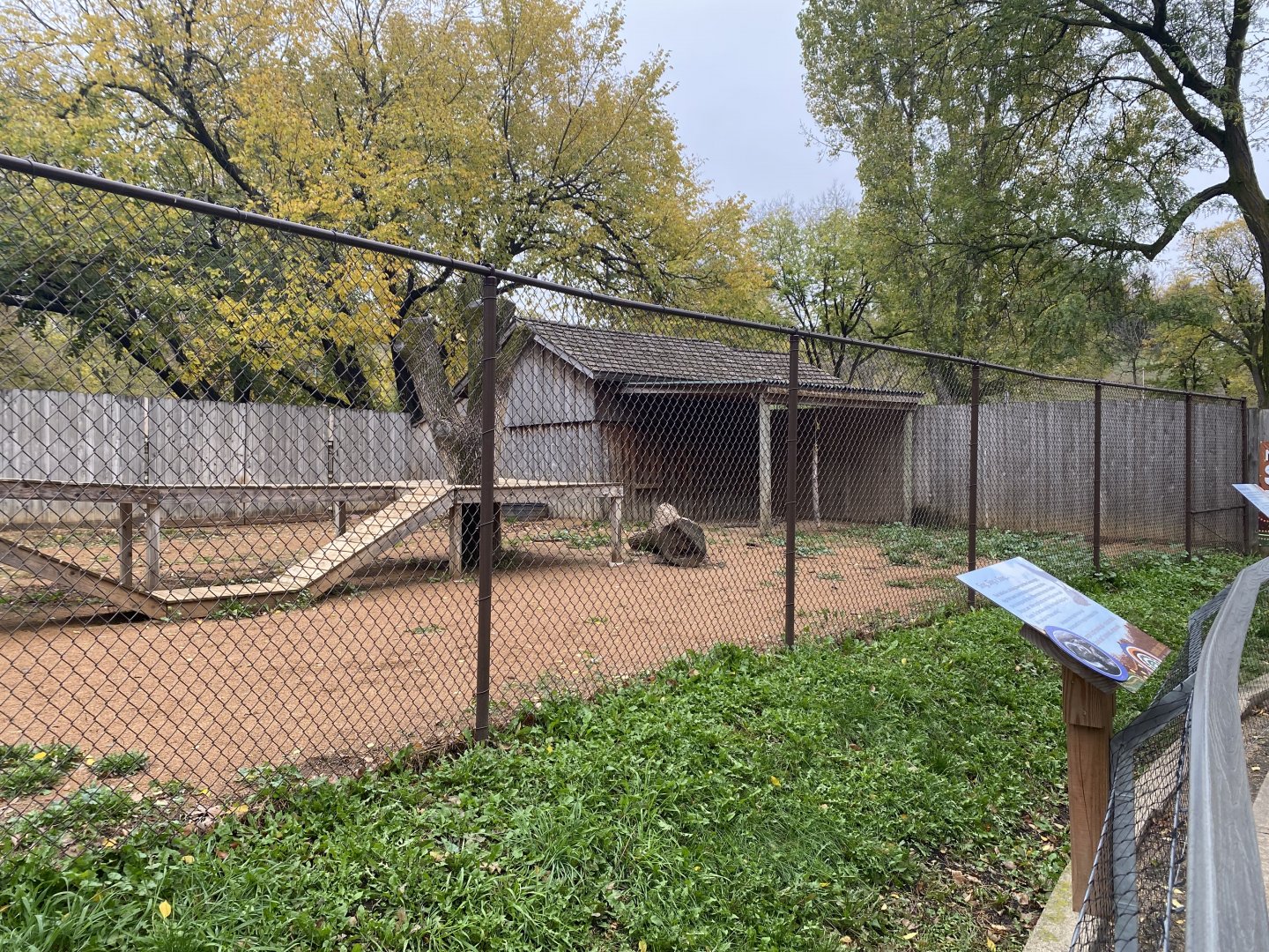 Walkabout Australia - New Guinea Singing Dog Exhibit