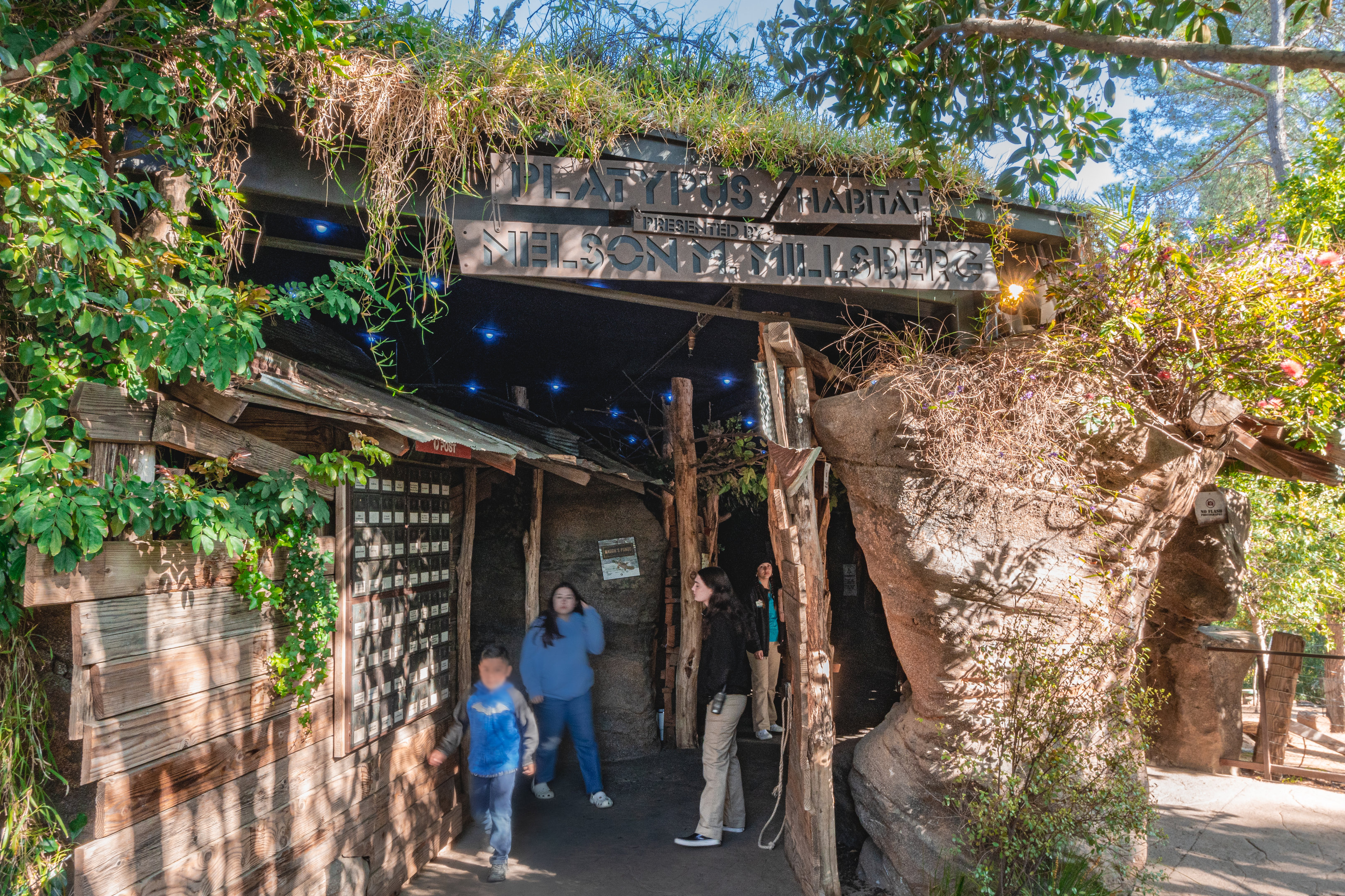 Walkabout Australia: Platypus Habitat