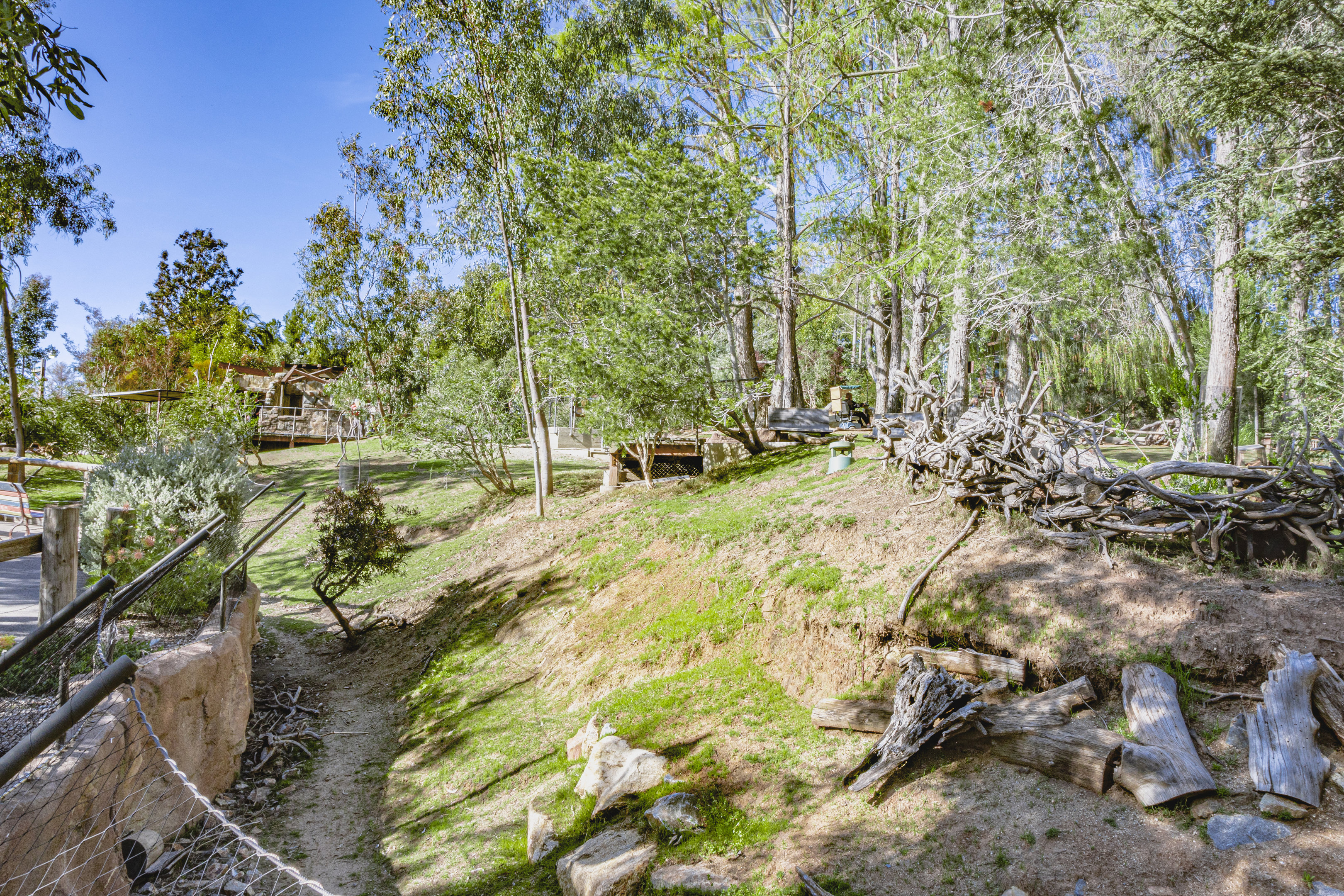 Walkabout Australia: View of Marsupial Walkway