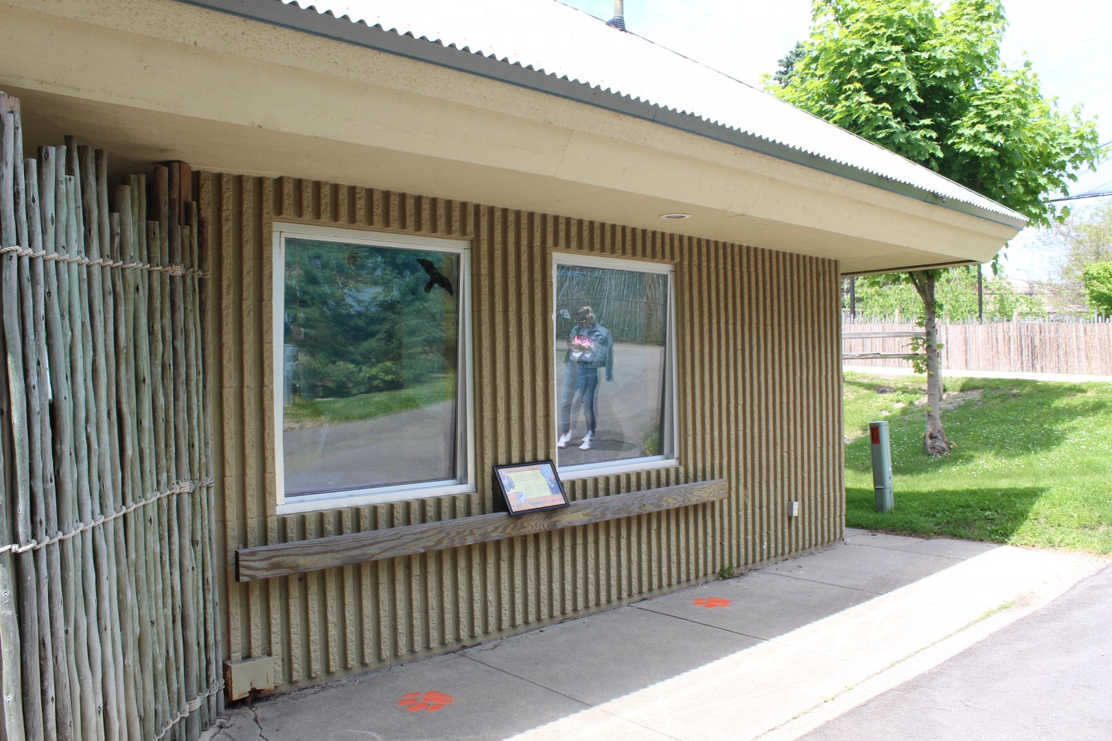 Walkabout Creek - Ferret Exhibit
