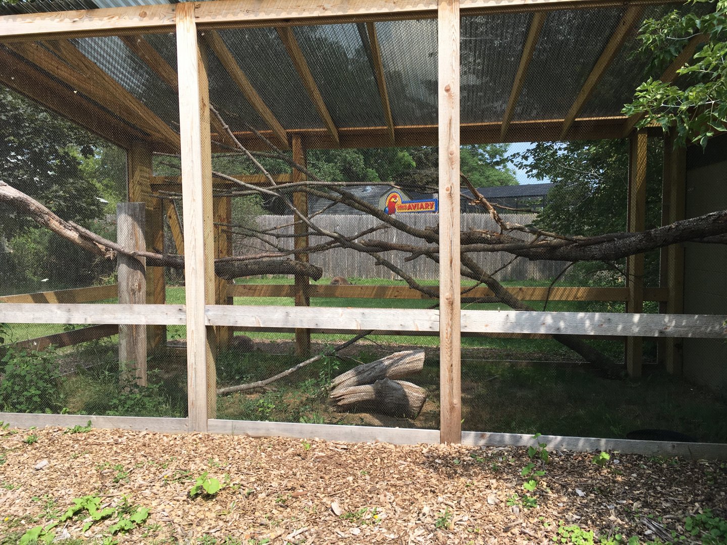Walkabout Creek - Tawny Frogmouth Exhibit