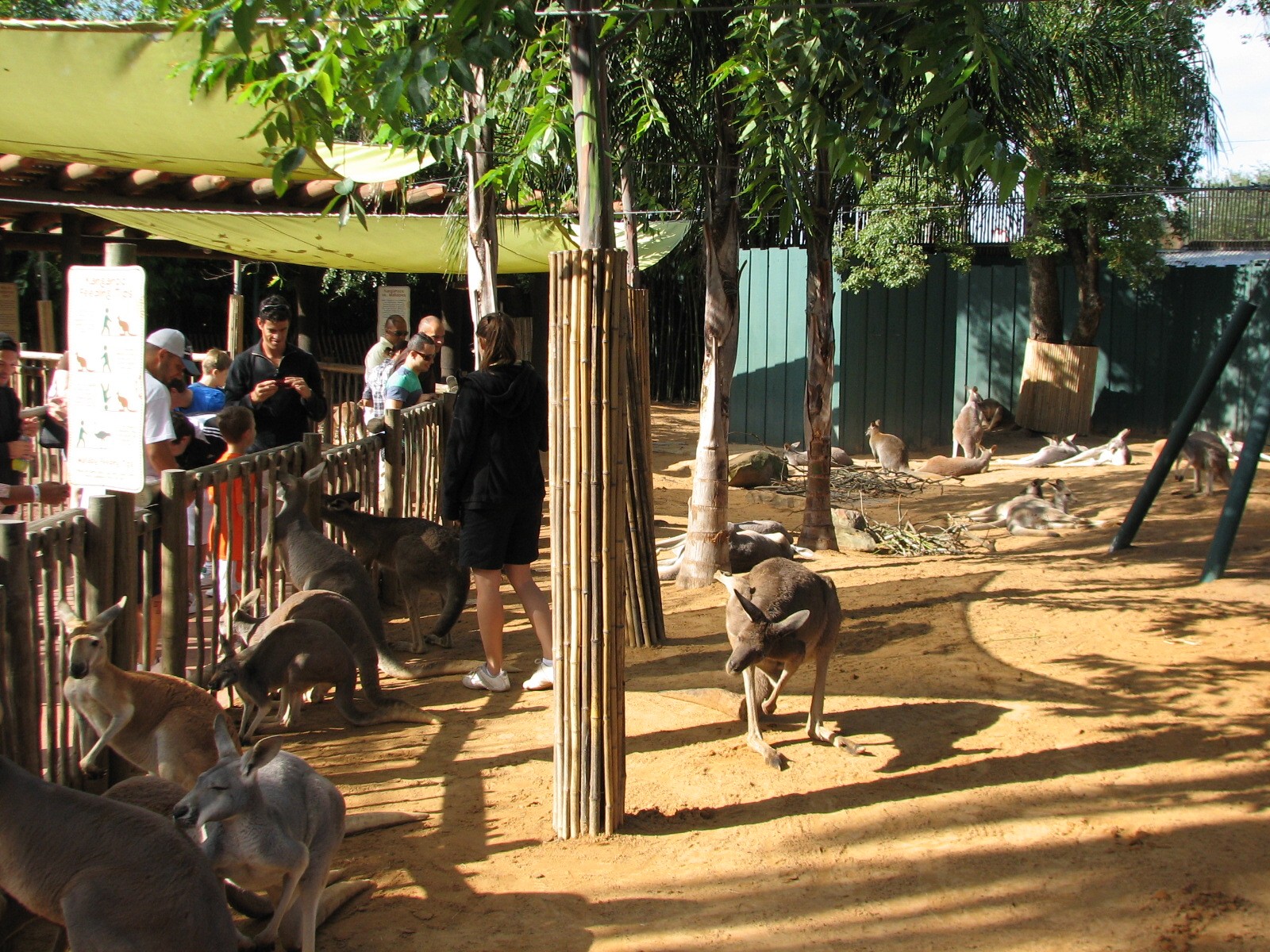 Walkabout Way - Kangaloom