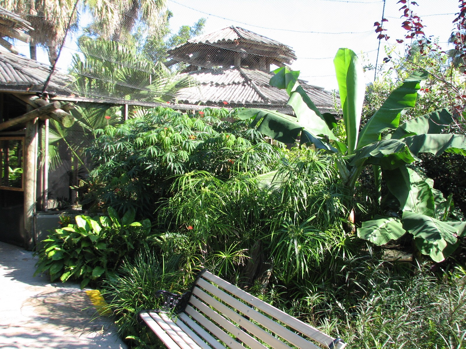 Walkabout Way - Kookaburra's Nest Aviary - Interior