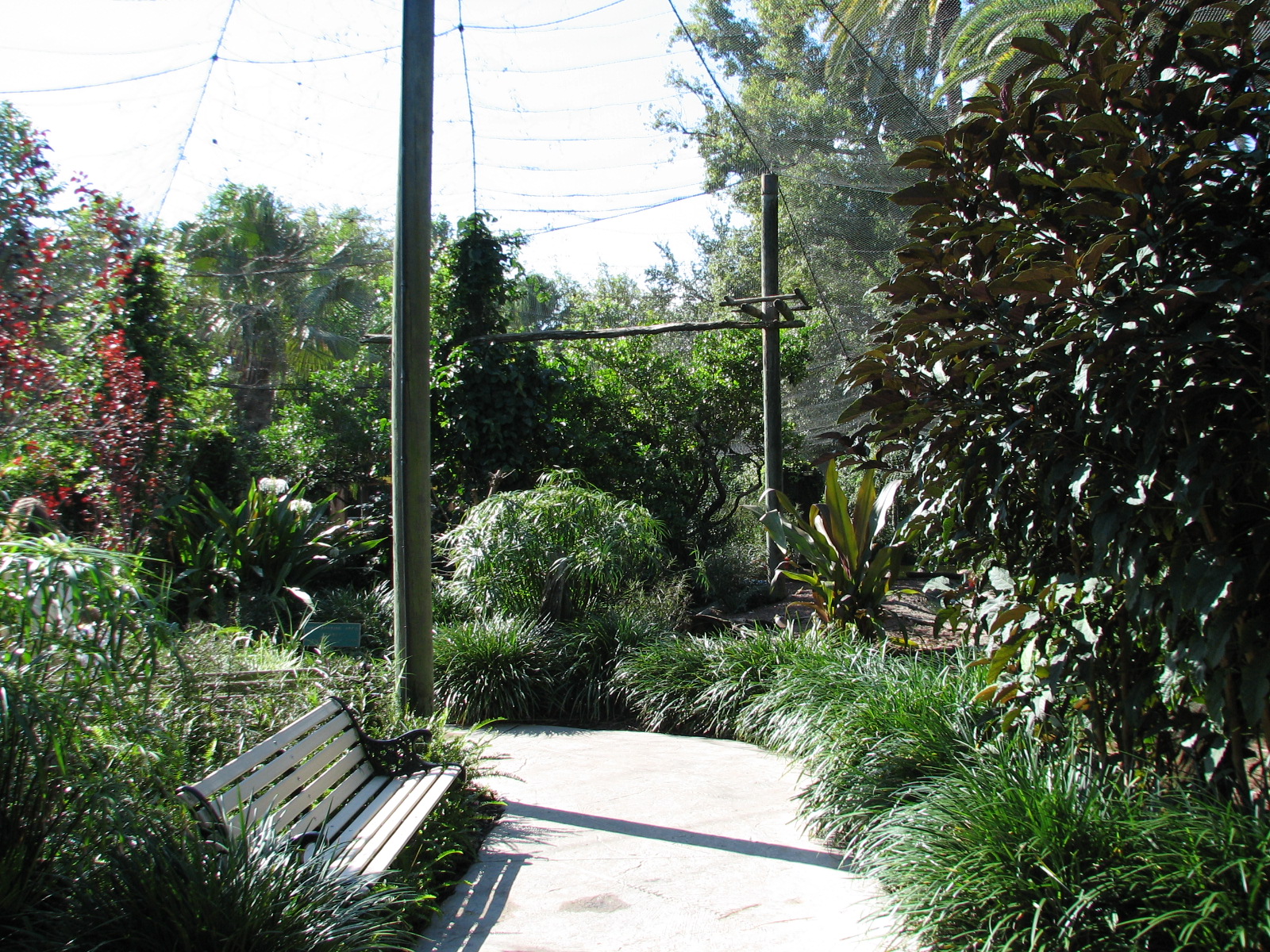 Walkabout Way - Kookaburra's Nest Aviary - Interior
