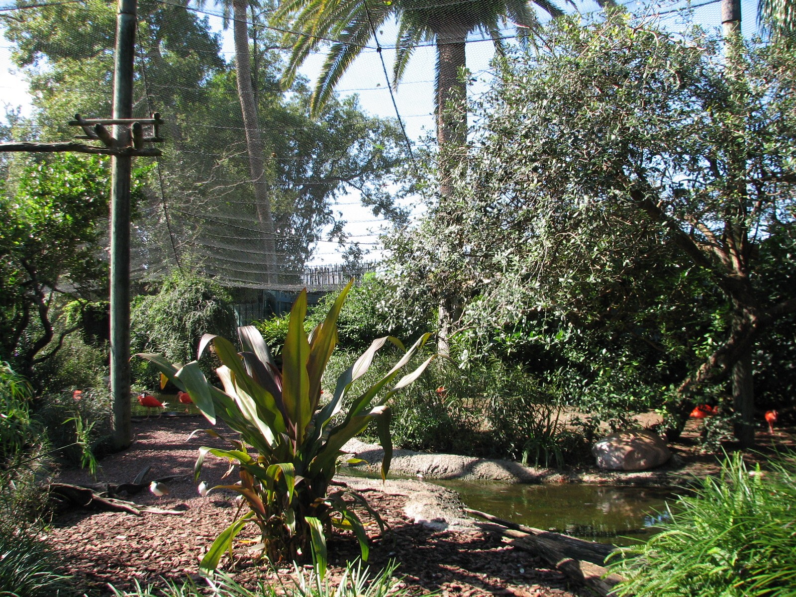 Walkabout Way - Kookaburra's Nest Aviary - Interior