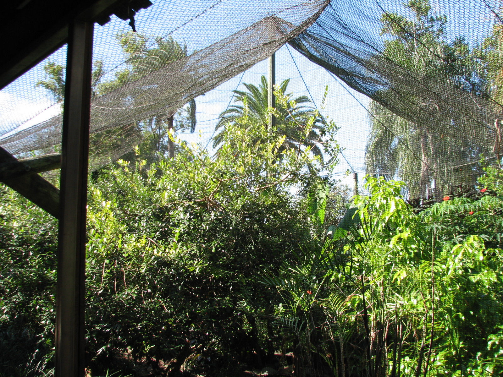 Walkabout Way - Kookaburra's Nest Aviary - Interior
