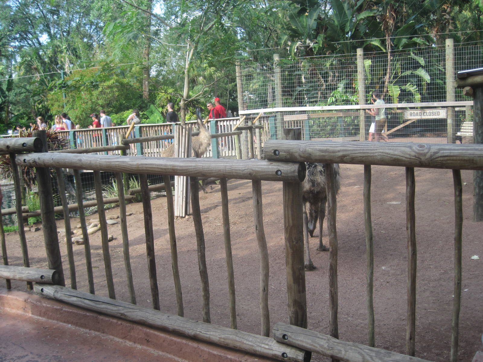 Walkabout Way- Part 1 of Emu Exhibit
