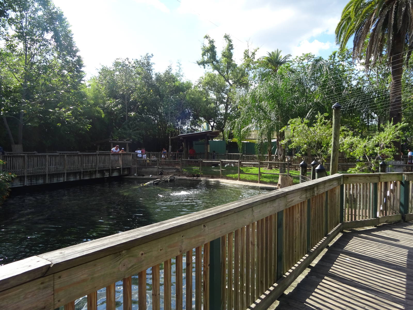 Walkabout Way Pond at Busch Gardens Tampa