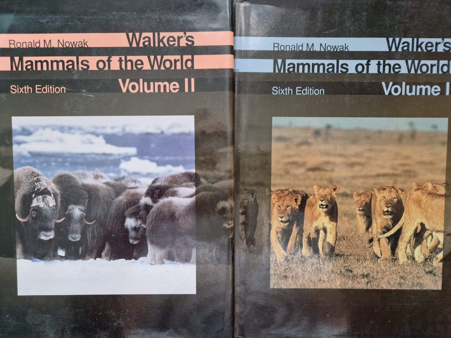 Walker's Mammals of the World, 6th edition