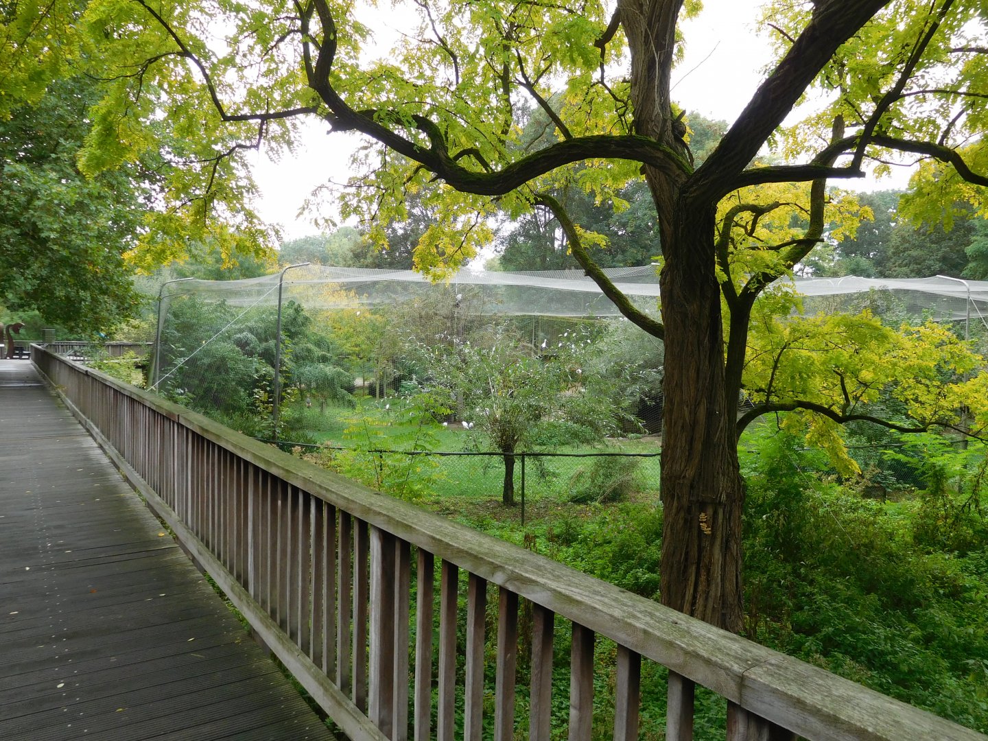 Walking bridge and aviary
