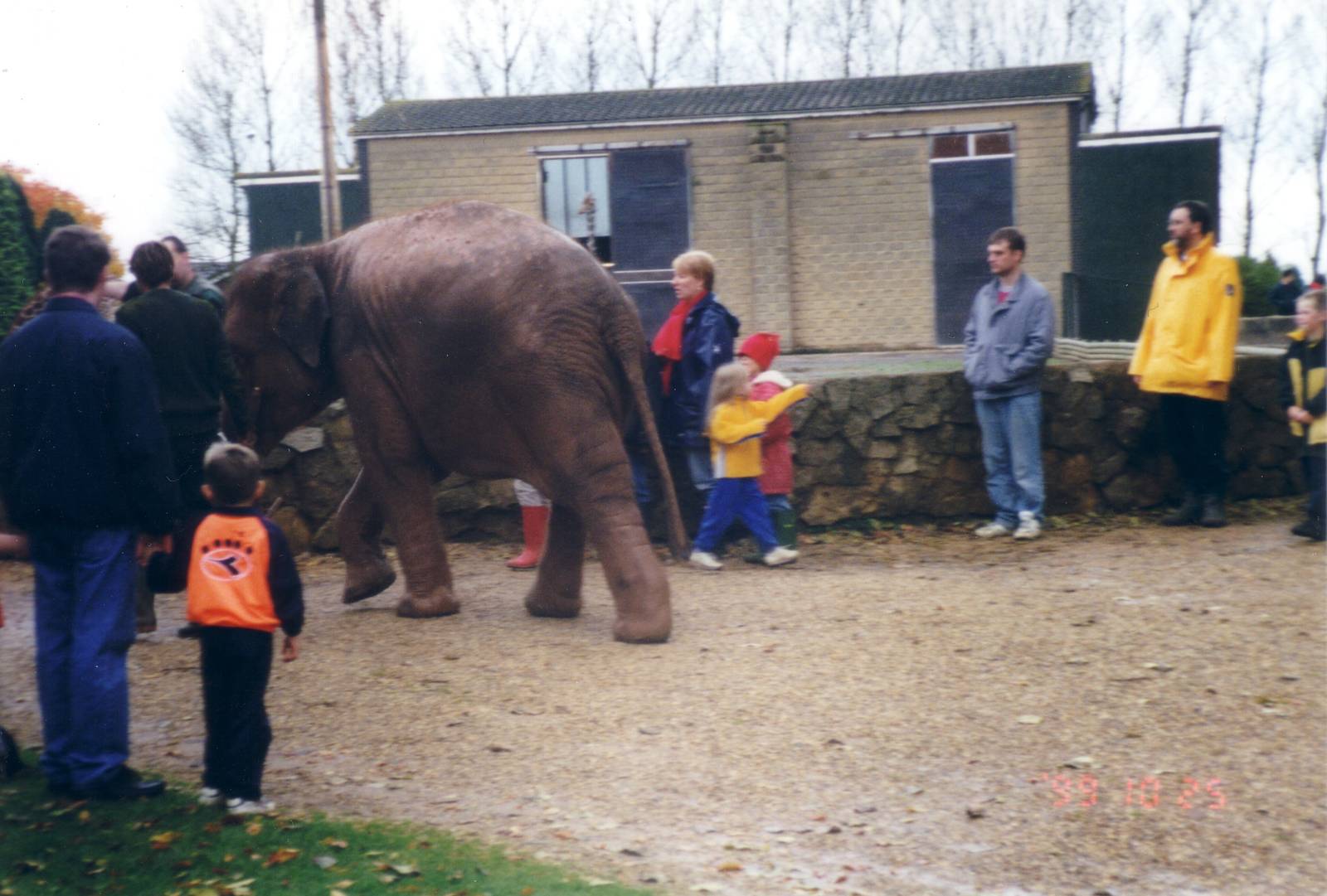 Walking Noorjahan, October 1999