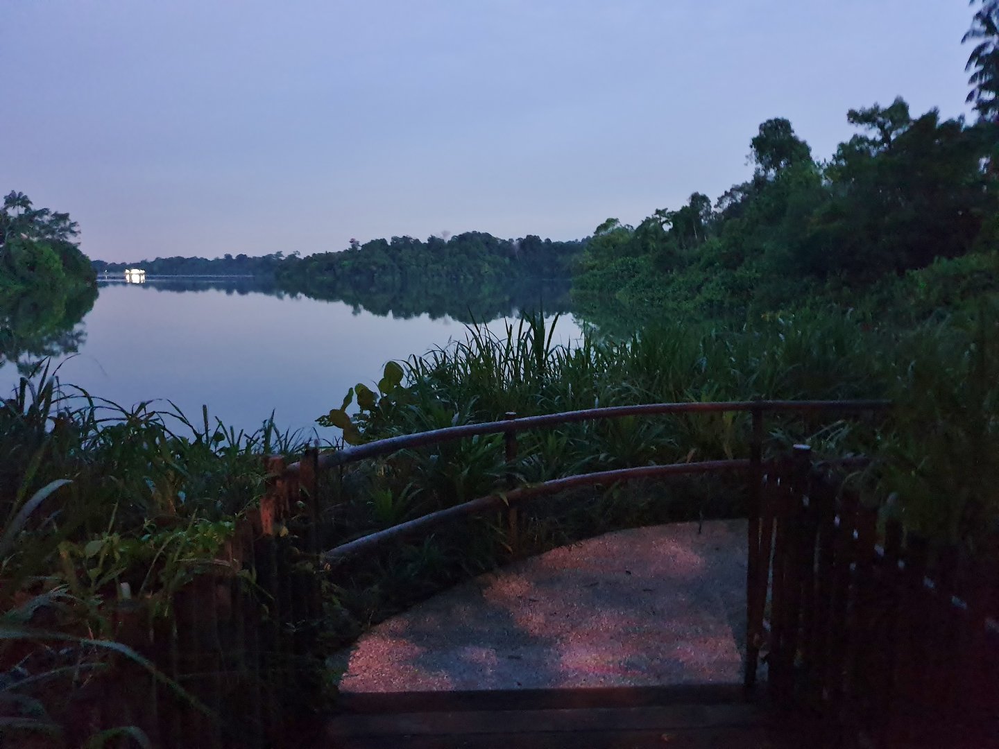 Walking path to the new Indian rhino exhibit