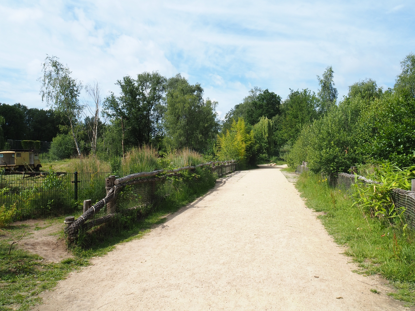 Walking safari road, 2022-06-12