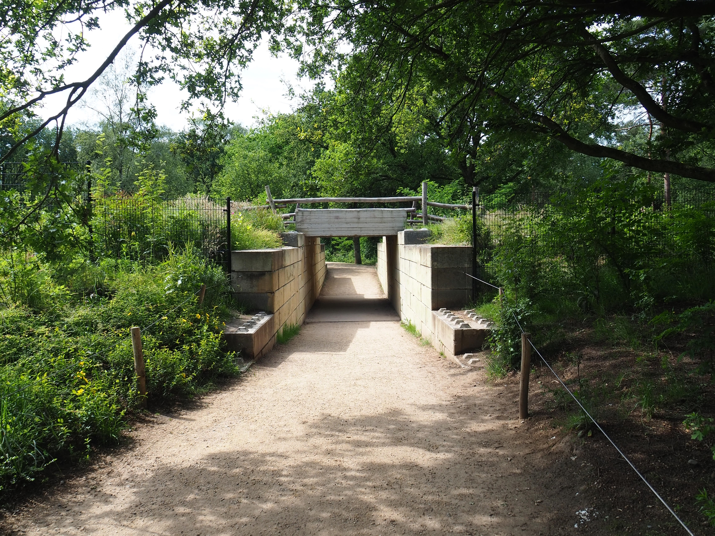 Walking safari tunnel underneath car safari road, 2022-06-12