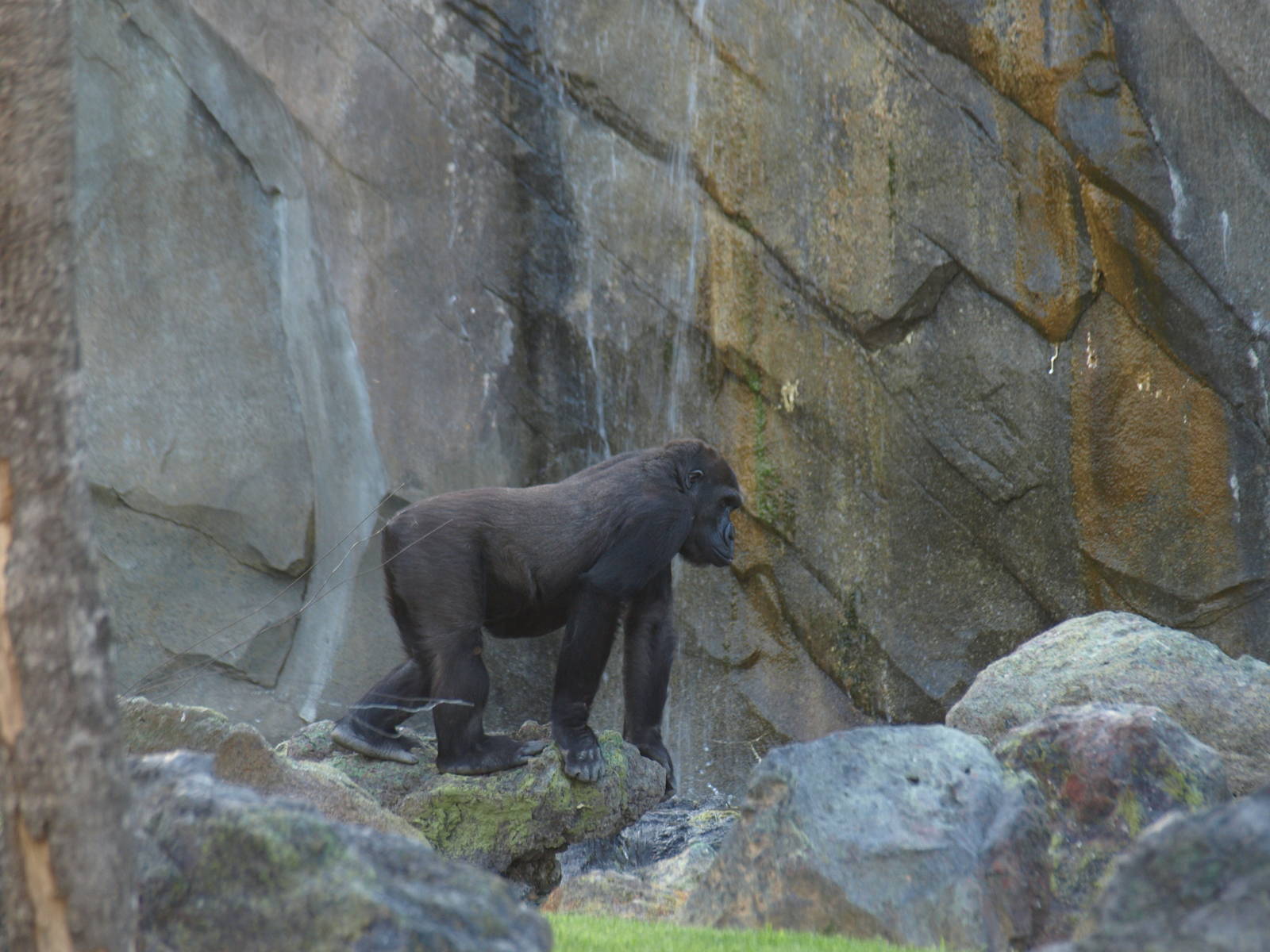 Walking through the bai