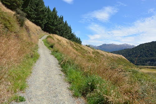 Walking track   NZ