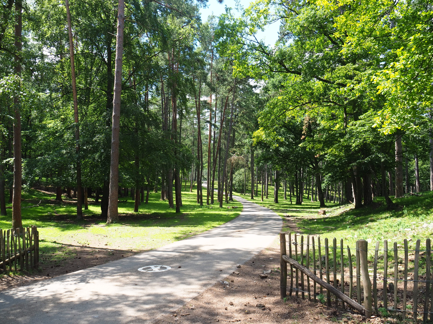 Walking trail crossing the safari car road through the large mixed paddock, 2020-07-12