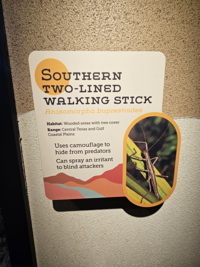 Walkingstick Sign