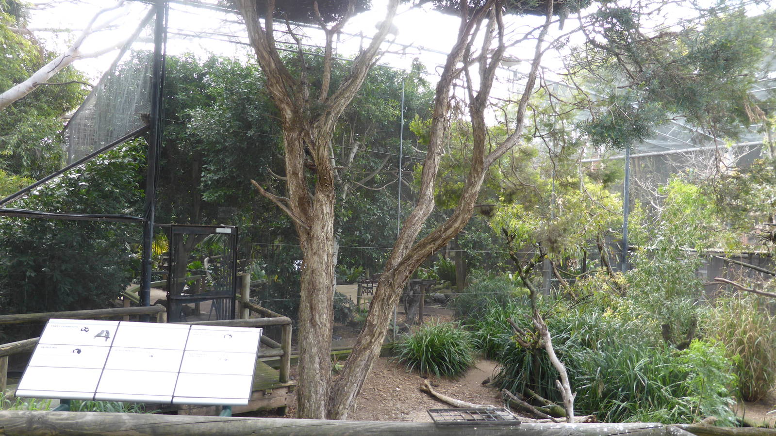 Walkthough wetland aviary, interior