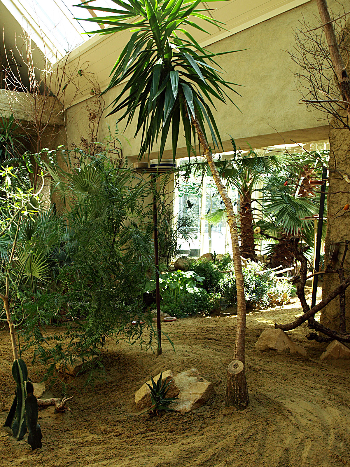 Walkthrough - African savannah