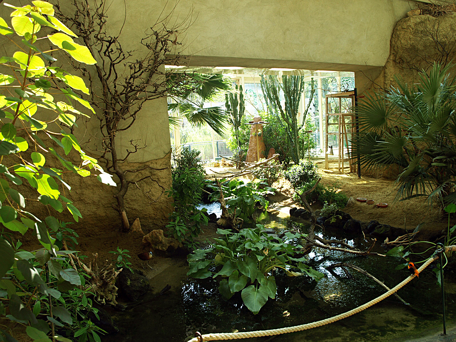 Walkthrough - African savannah