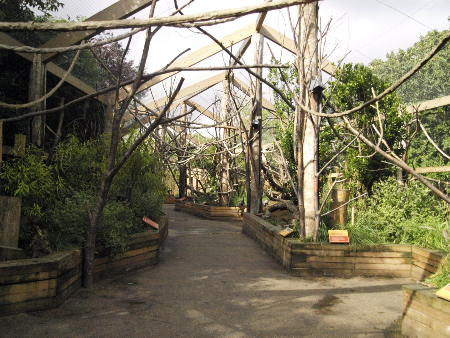 Walkthrough area for lemurs