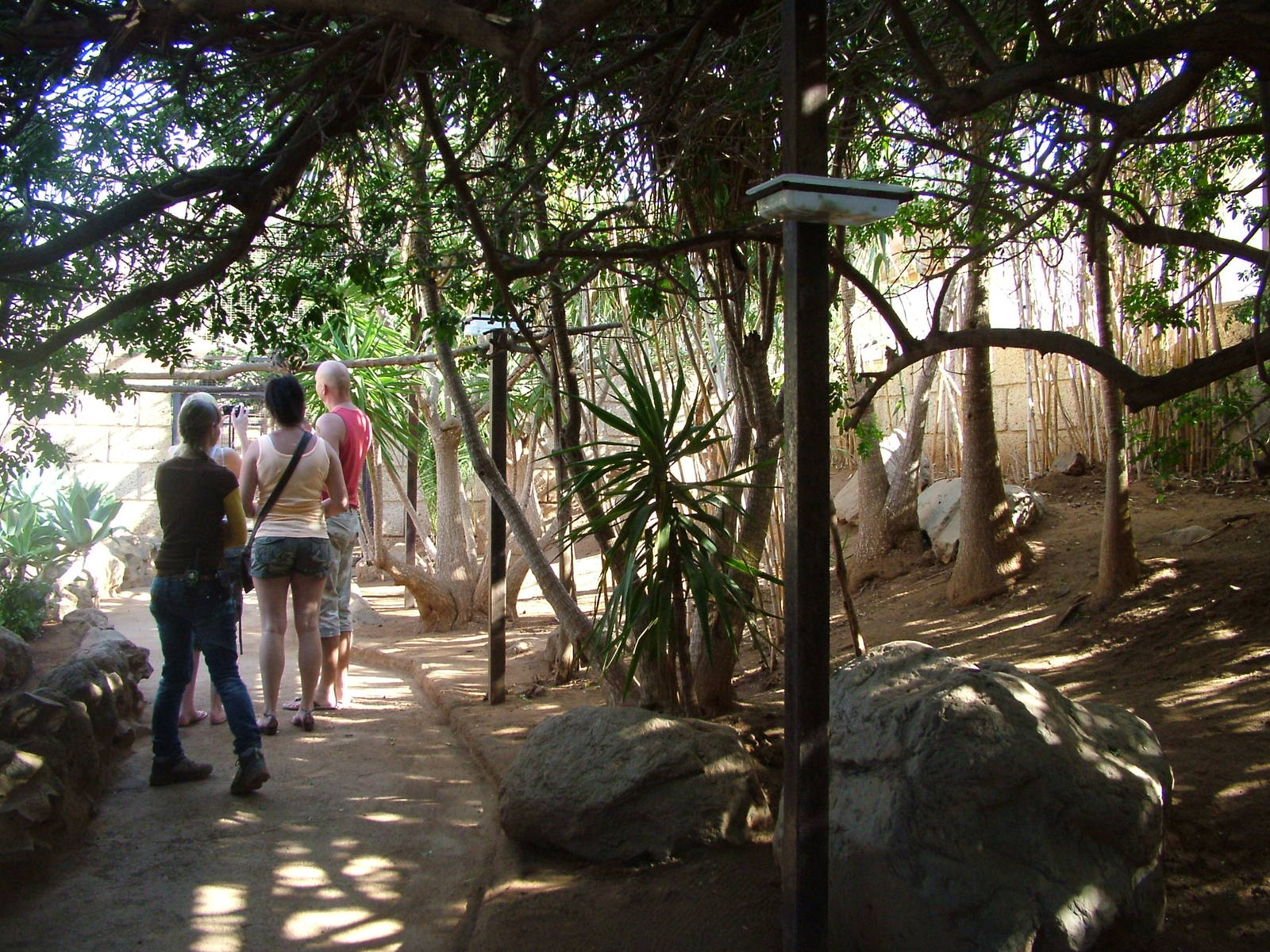 Walkthrough at Monkey Park, 09/11/10